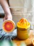 Hand-Operated Juice Extractor